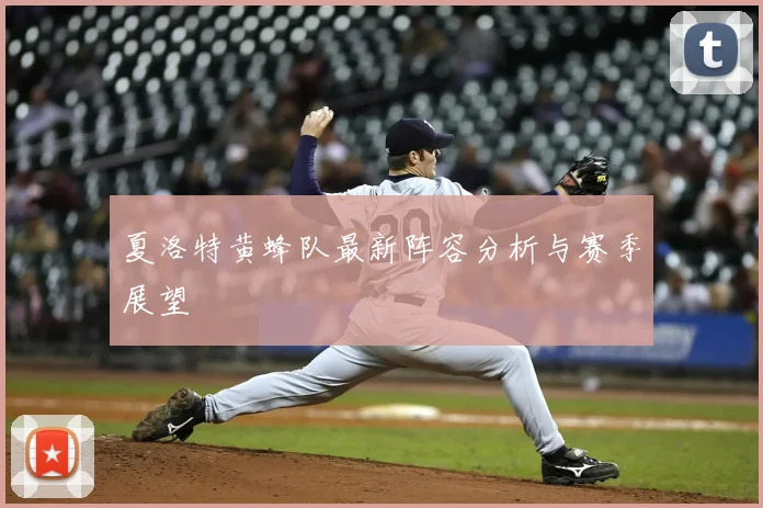 夏洛特黄蜂队最新阵容分析与赛季展望