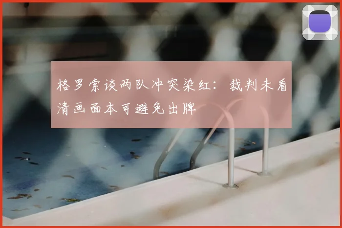 格罗索谈两队冲突染红：裁判未看清画面本可避免出牌