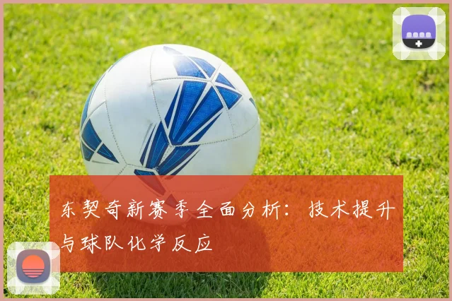 东契奇新赛季全面分析：技术提升与球队化学反应