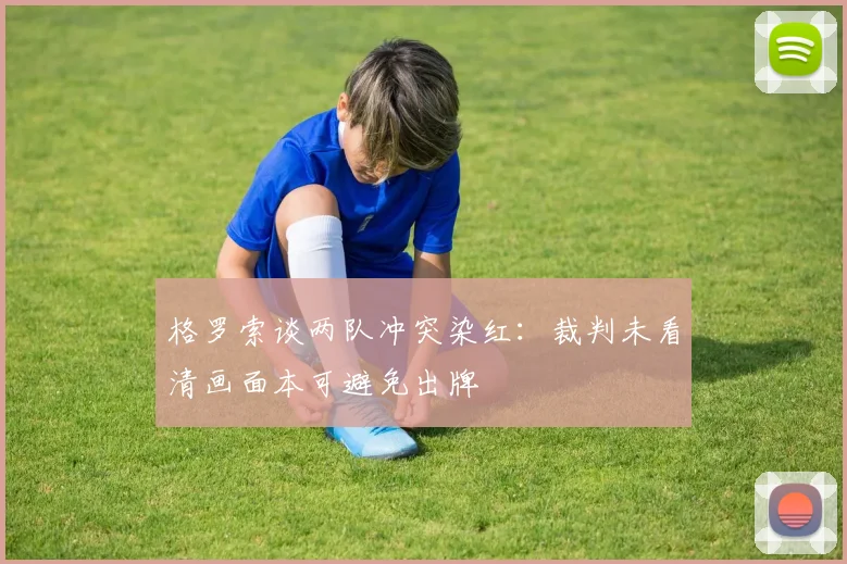 格罗索谈两队冲突染红：裁判未看清画面本可避免出牌